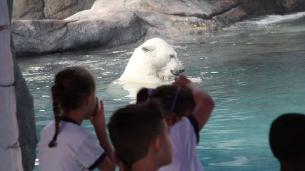 Aquario de São Paulo - 15ABR2025 - Image 7