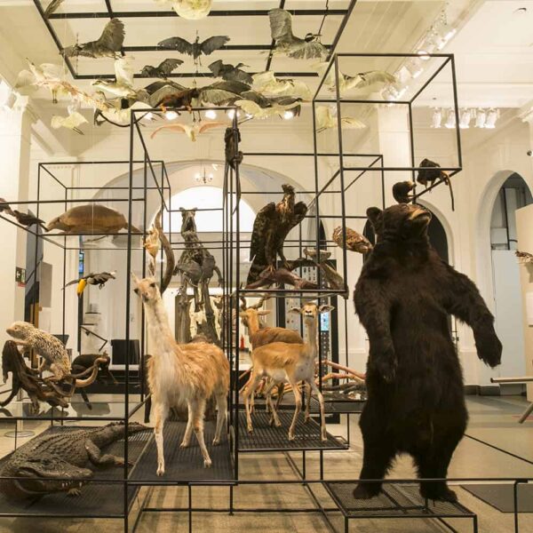 MUSEU DE ZOOLOGIA - USP - 25 OUT 2024 - Image 2