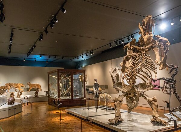 MUSEU DE ZOOLOGIA - USP - 25 OUT 2024 - Image 7