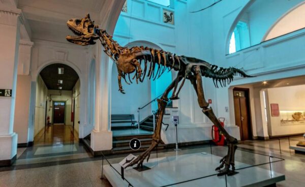 MUSEU DE ZOOLOGIA - USP - 25 OUT 2024 - Image 6