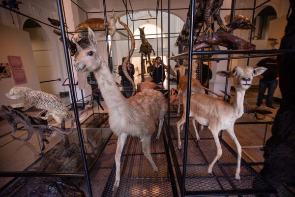 MUSEU DE ZOOLOGIA - USP - 25 OUT 2024 - Image 5