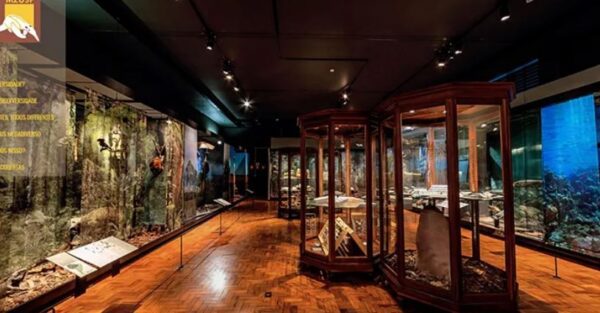 MUSEU DE ZOOLOGIA - USP - 25 OUT 2024 - Image 4