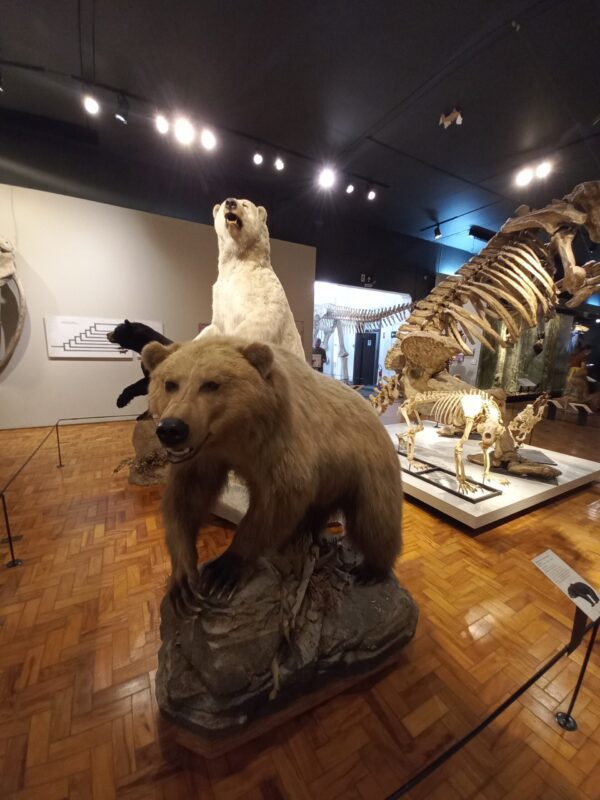 MUSEU DE ZOOLOGIA - USP - 25 OUT 2024 - Image 3