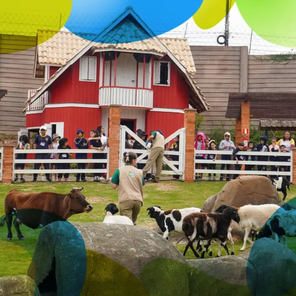 ANIMÁLIA PARK - Cotia - 14 NOV 2024