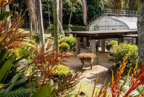 JARDIM BOTÂNICO DE SP 23 Maio 2025